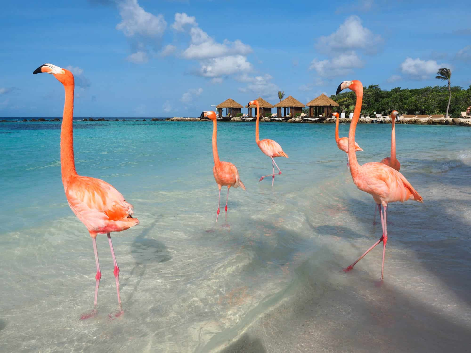 Aruba 2025: Hidden Gems You’ll Fall in Love With